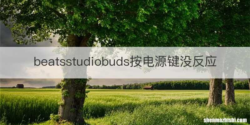 beatsstudiobuds按电源键没反应