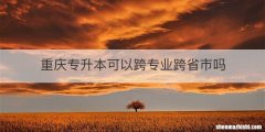 重庆专升本可以跨专业跨省市吗