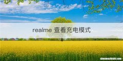 realme 查看充电模式