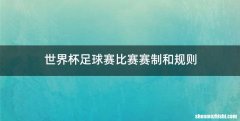 世界杯足球赛比赛赛制和规则
