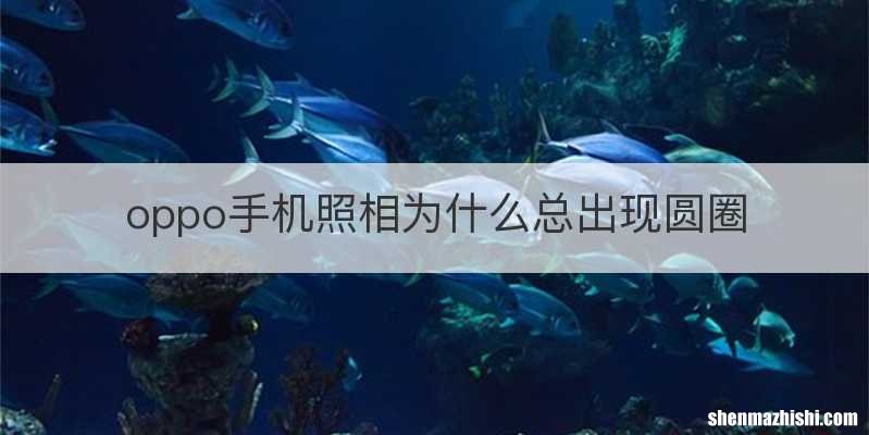 oppo手机照相为什么总出现圆圈