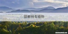 邯郸特有植物
