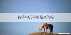 转转49元平板是真的吗
