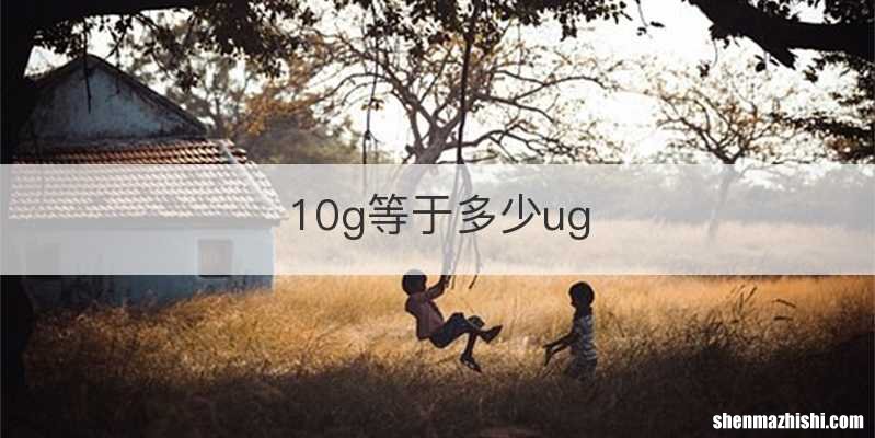 10g等于多少ug