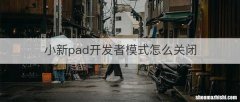 小新pad开发者模式怎么关闭