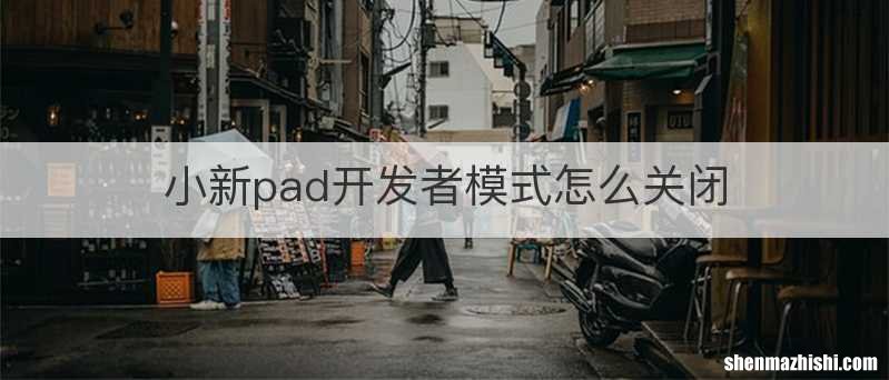 小新pad开发者模式怎么关闭