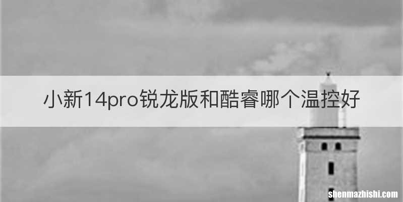 小新14pro锐龙版和酷睿哪个温控好