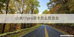 小米11pro双卡怎么放进去