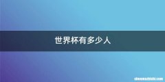 世界杯有多少人