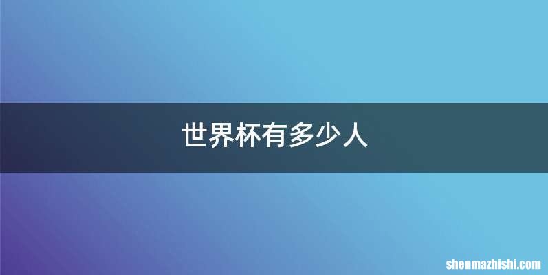 世界杯有多少人