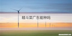 耧斗菜广东能种吗