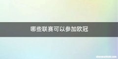 哪些联赛可以参加欧冠