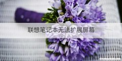 联想笔记本无法扩展屏幕