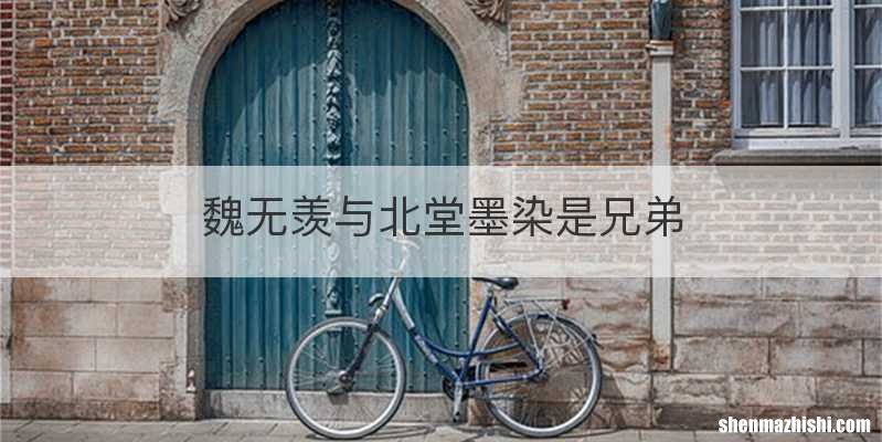 魏无羡与北堂墨染是兄弟