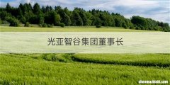 光亚智谷集团董事长