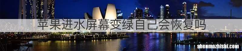 苹果进水屏幕变绿自己会恢复吗