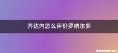 齐达内怎么评价罗纳尔多