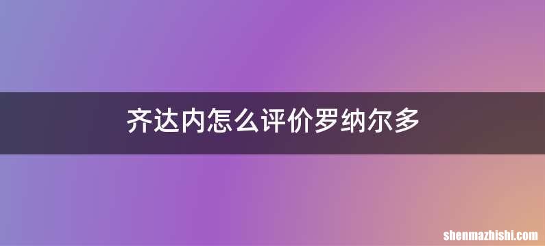齐达内怎么评价罗纳尔多