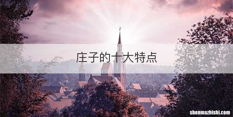 庄子的十大特点