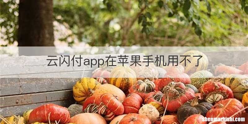 云闪付app在苹果手机用不了