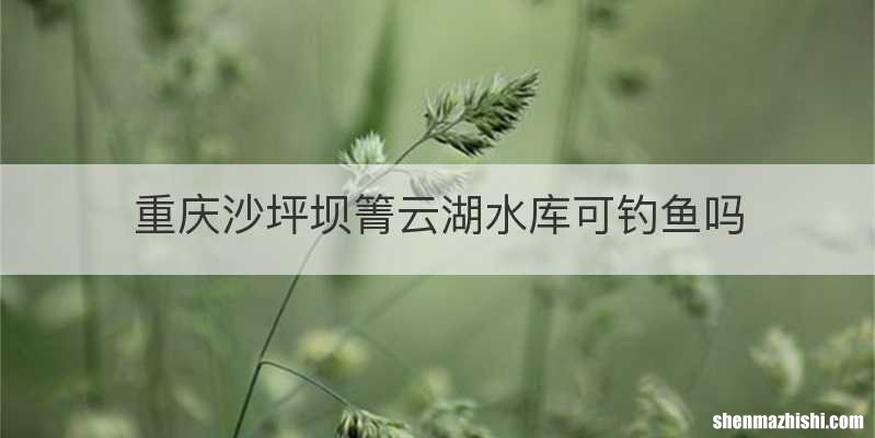 重庆沙坪坝箐云湖水库可钓鱼吗