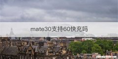 mate30支持60快充吗
