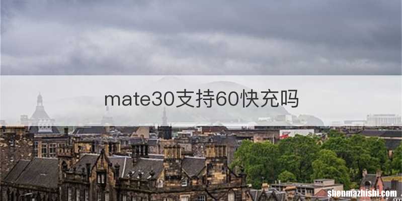 mate30支持60快充吗