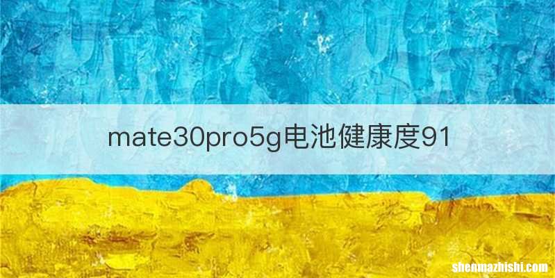 mate30pro5g电池健康度91