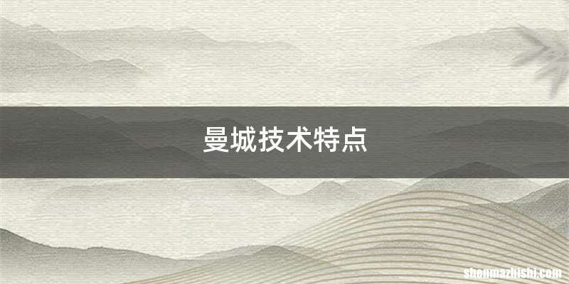 曼城技术特点