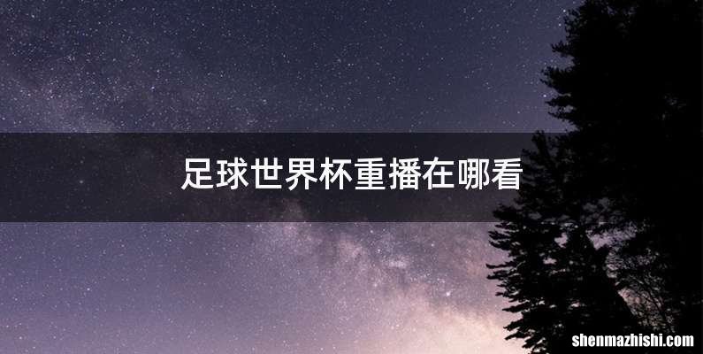 足球世界杯重播在哪看