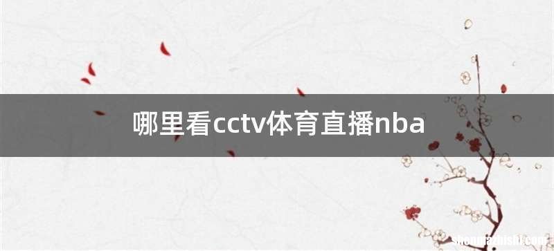 哪里看cctv体育直播nba