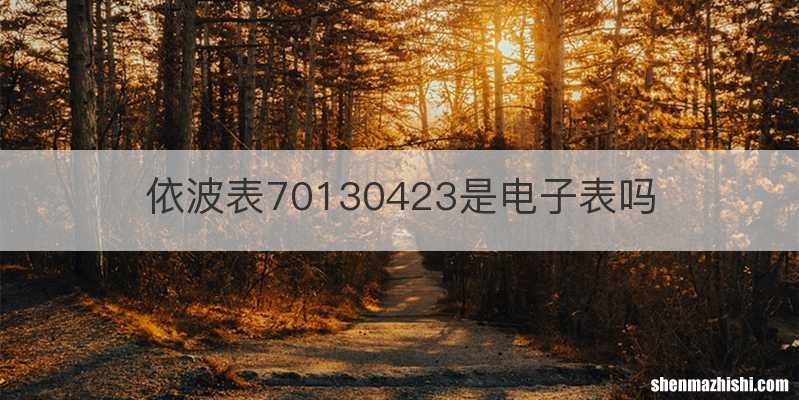 依波表70130423是电子表吗