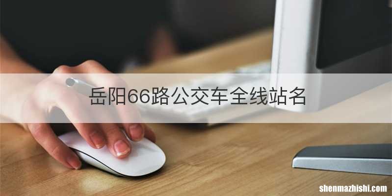岳阳66路公交车全线站名