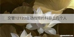 交管12123自动挡预约科目二几个人