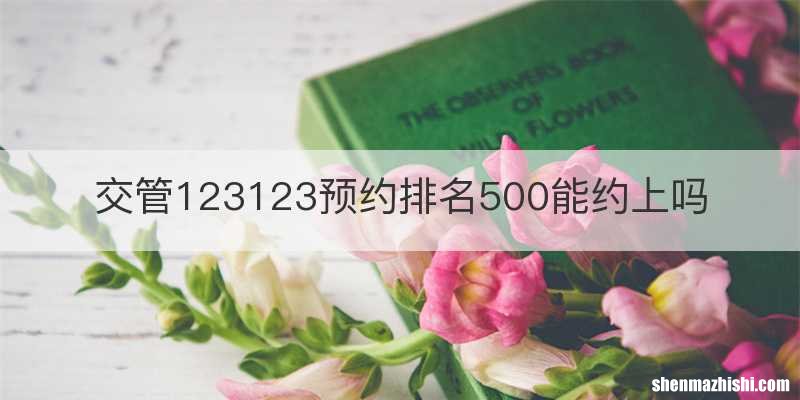 交管123123预约排名500能约上吗