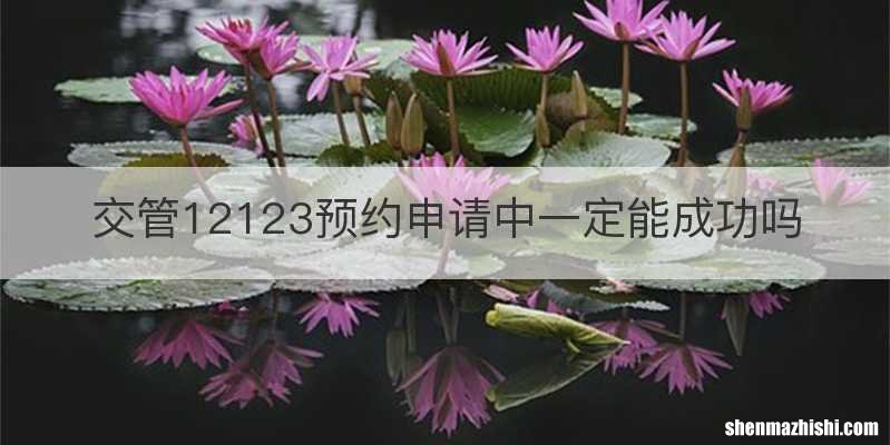 交管12123预约申请中一定能成功吗