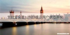 支付宝交管12123提示用户状态异常