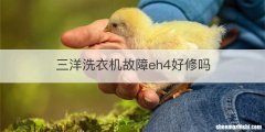 三洋洗衣机故障eh4好修吗