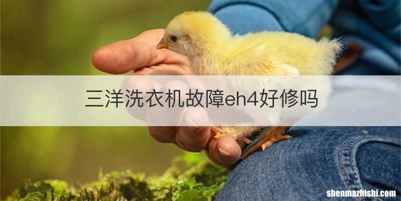 三洋洗衣机故障eh4好修吗