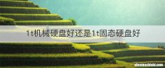 1t机械硬盘好还是1t固态硬盘好