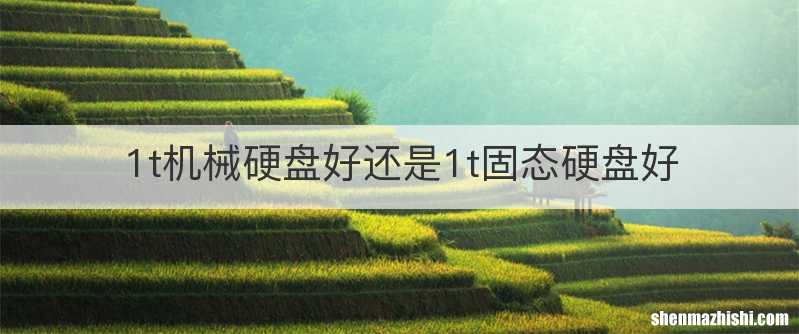 1t机械硬盘好还是1t固态硬盘好