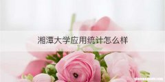 湘潭大学应用统计怎么样