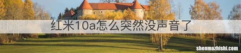 红米10a怎么突然没声音了