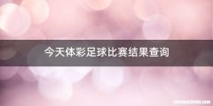 今天体彩足球比赛结果查询