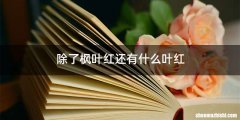 除了枫叶红还有什么叶红