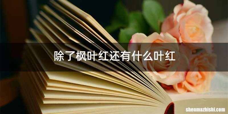 除了枫叶红还有什么叶红