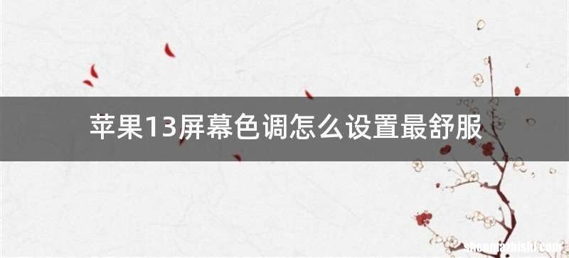 苹果13屏幕色调怎么设置最舒服