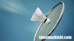 羽毛球拍品牌前十名