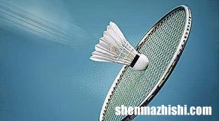 羽毛球拍品牌前十名