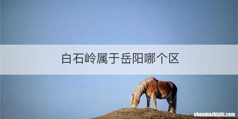 白石岭属于岳阳哪个区